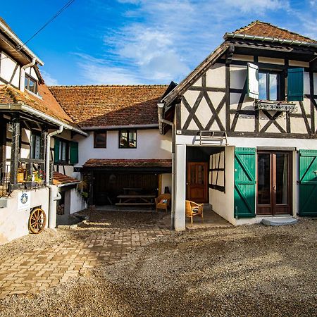 Villa Le Vieux Pressoir Dieffenthal Esterno foto