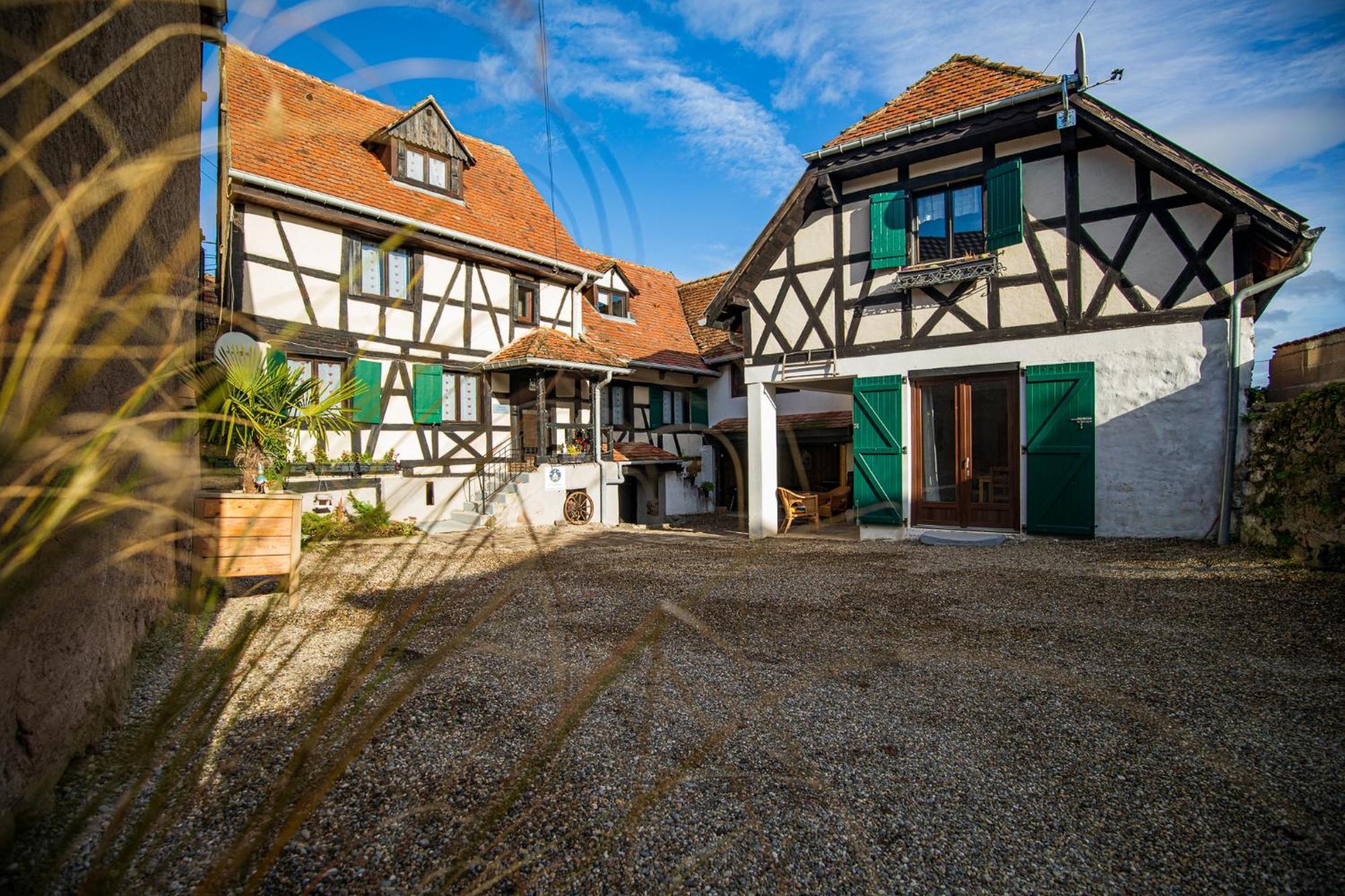 Villa Le Vieux Pressoir Dieffenthal Esterno foto